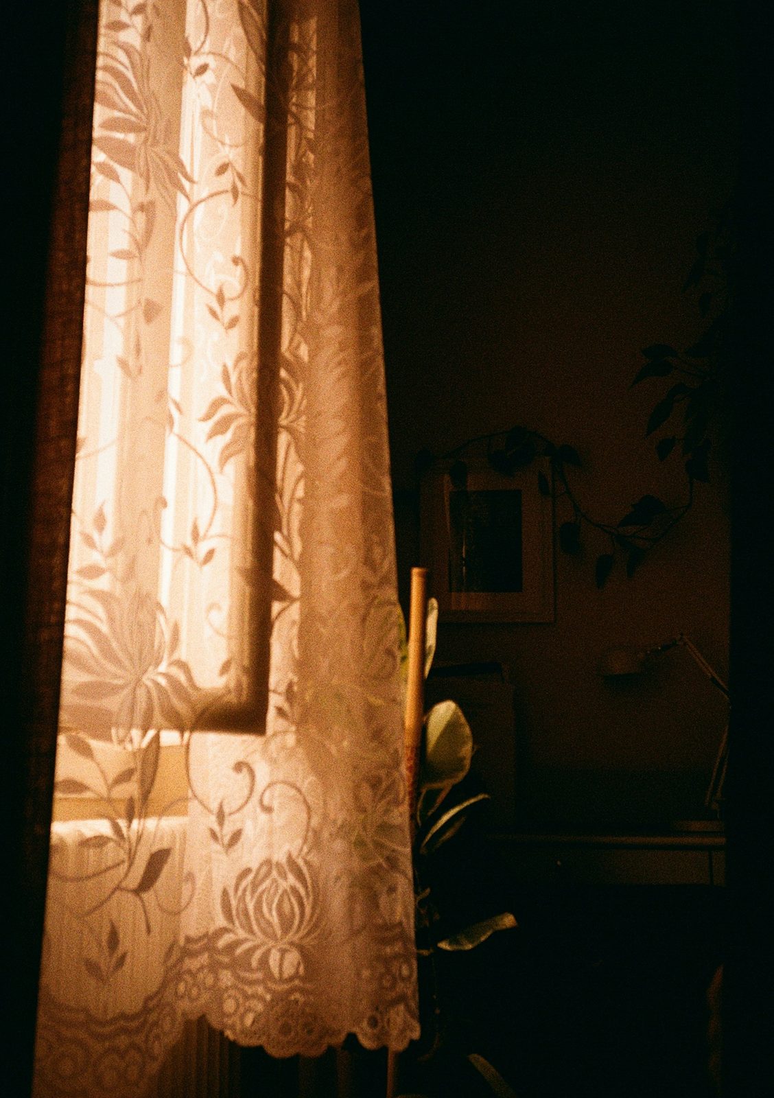 Soft daylight filtering through a lace curtain